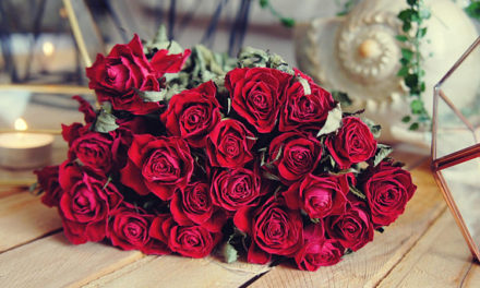 Valentýnský speciál – naše tipy na květiny k Valentýnu, které vaši lásku budou těšit věčně